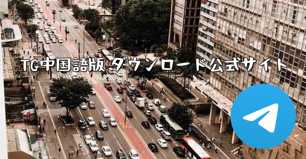 TG中国語版 ダウンロード公式サイト