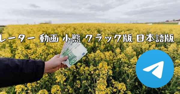 飛行機シミュレーター 動画 小熊 クラック版 日本語版