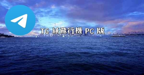 TG 紙飛行機 PC 版