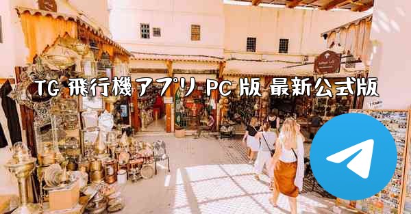 TG 飛行機アプリ PC 版 最新公式版