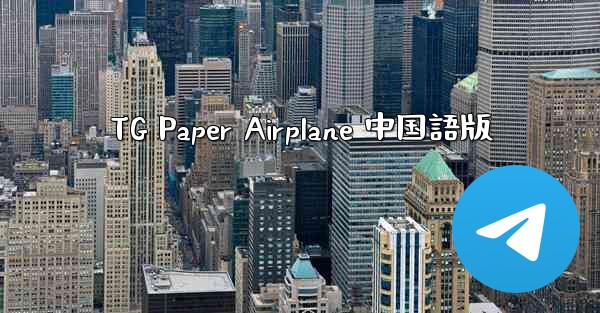 TG Paper Airplane 中国語版