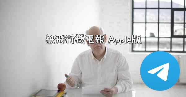 紙飛行機電報 Apple版