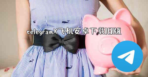 telegramX飞机安卓下载旧版
