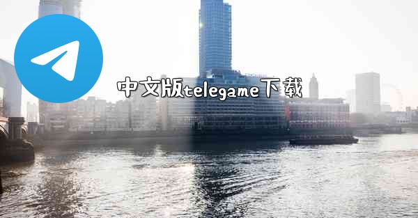 中文版telegame下载
