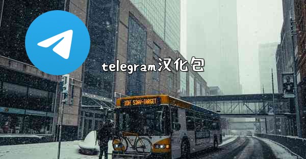 telegram汉化包