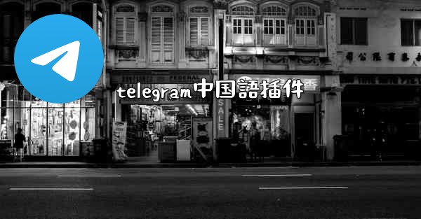 telegram中国語插件