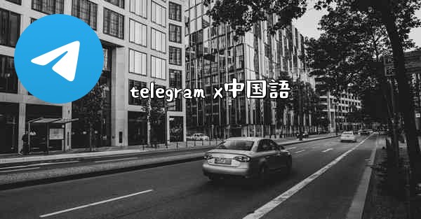 telegram x中国語