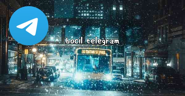 bocil telegram