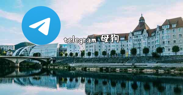 telegram 母狗