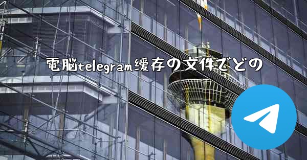 電脳telegram缓存の文件でどの