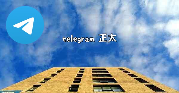 telegram 正太