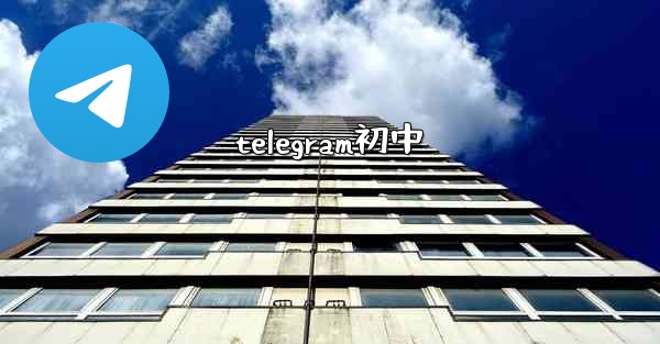 telegram初中