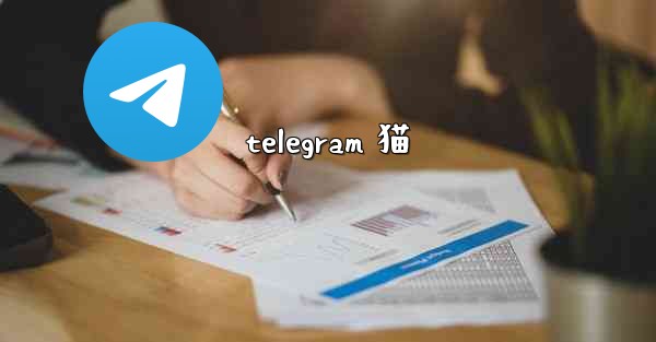 telegram 猫