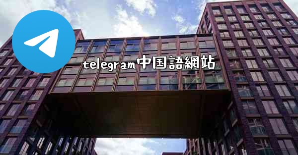 telegram中国語網站
