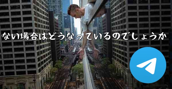 Paper Plane が SMS 認証コードを受信できない場合はどうなっているのでしょうか