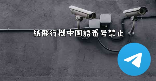 紙飛行機中国語番号禁止