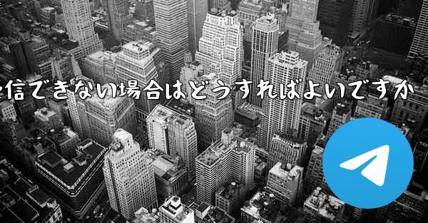 Paper Planeで認証コードを受信できない場合はどうすればよいですか