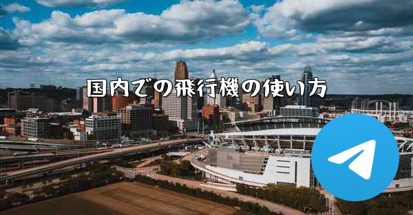 国内での飛行機の使い方
