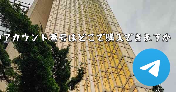 紙飛行機のアカウント番号はどこで購入できますか