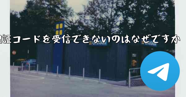 Paper Plane が認証コードを受信できないのはなぜですか