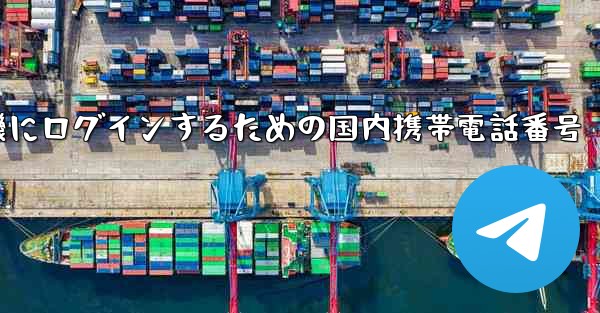 飛行機にログインするための国内携帯電話番号
