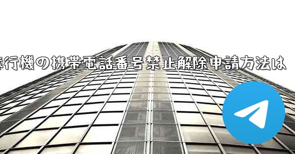 紙飛行機の携帯電話番号禁止解除申請方法は