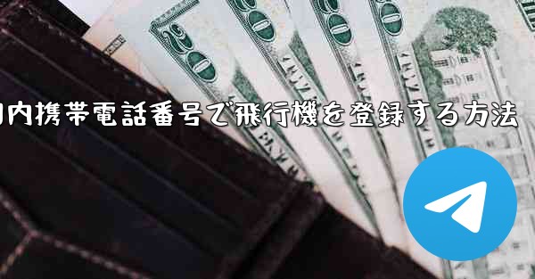 国内携帯電話番号で飛行機を登録する方法