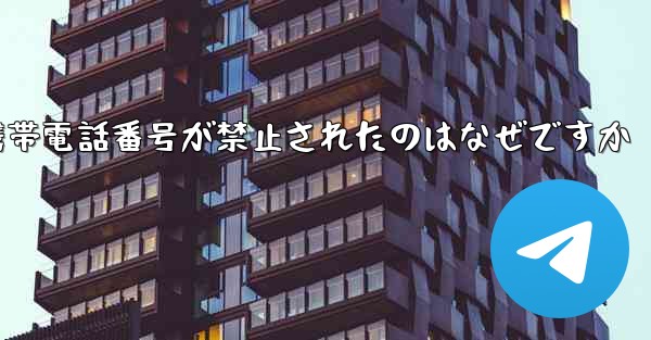 Paper Plane の携帯電話番号が禁止されたのはなぜですか