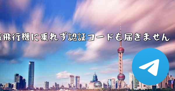 紙飛行機に乗れず認証コードも届きません
