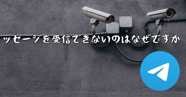 Paper Plane からテキスト メッセージを受信できないのはなぜですか