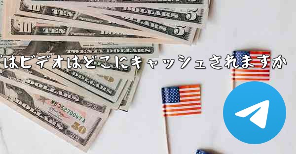 Web バージョンの Paper Plane telegeram ではビデオはどこにキャッシュされますか