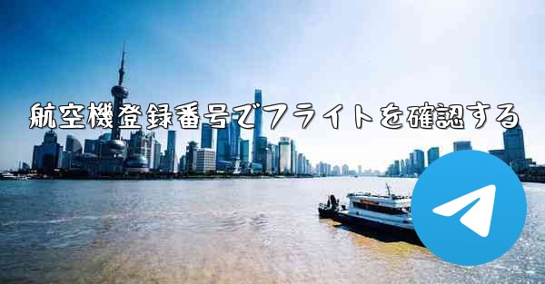 航空機登録番号でフライトを確認する