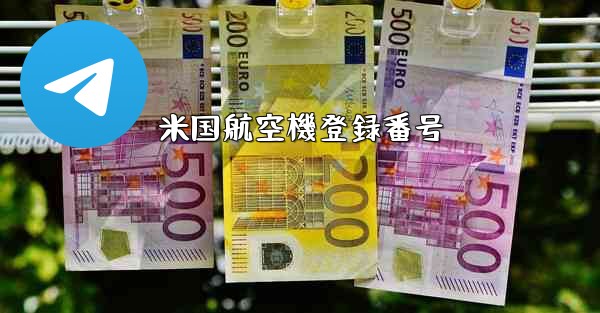 米国航空機登録番号