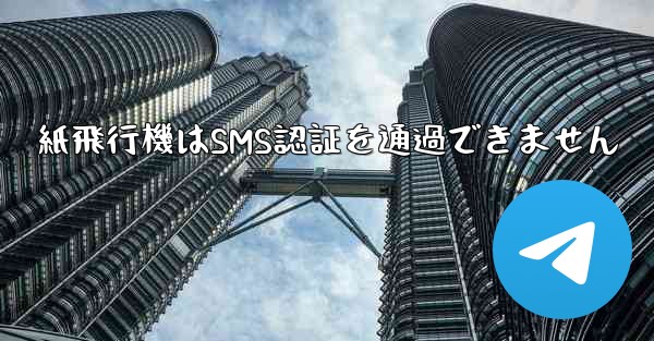 紙飛行機はSMS認証を通過できません