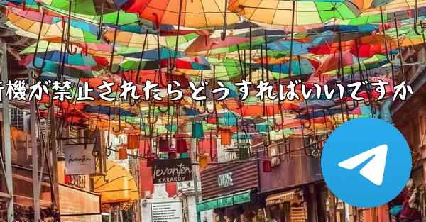 紙飛行機が禁止されたらどうすればいいですか