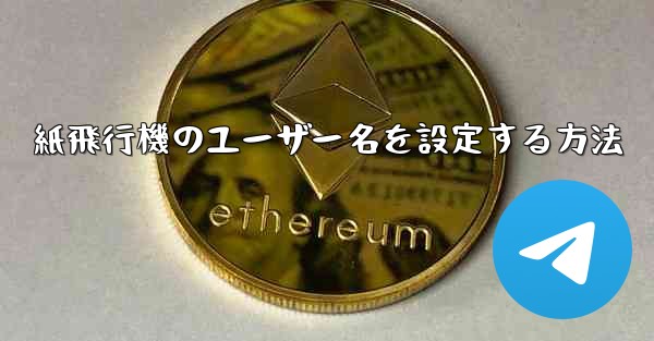 紙飛行機のユーザー名を設定する方法