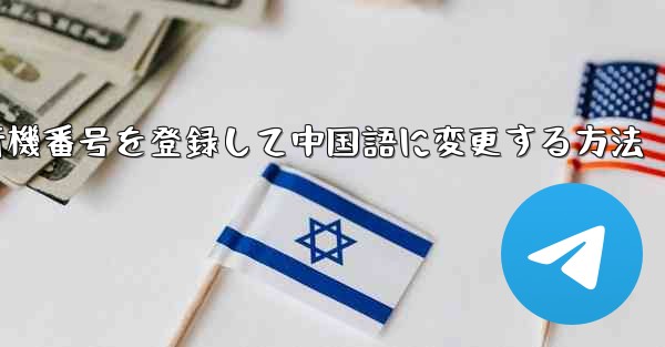 飛行機番号を登録して中国語に変更する方法