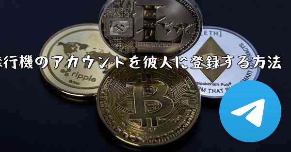 飛行機のアカウントを彼人に登録する方法