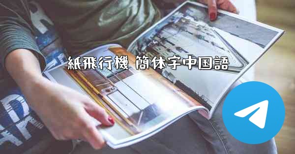 紙飛行機 簡体字中国語