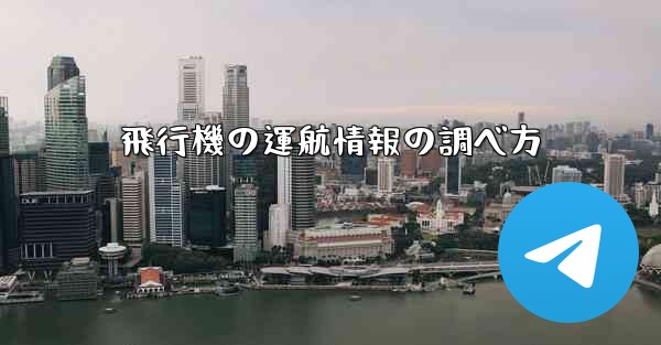 飛行機の運航情報の調べ方