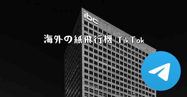 海外の紙飛行機 TikTok