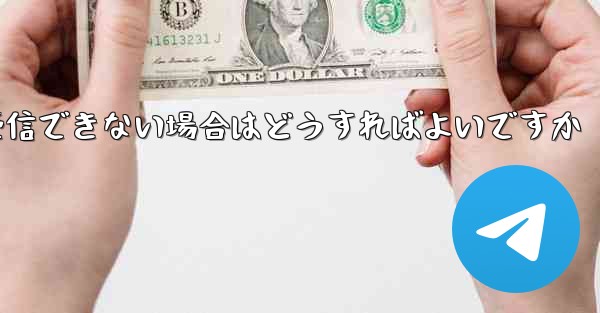 Paper Planeで認証コードを受信できない場合はどうすればよいですか