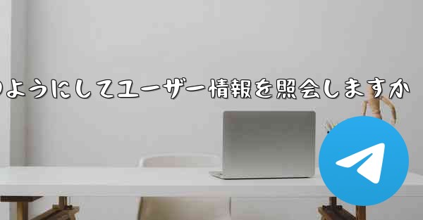 Paper Plane はどのようにしてユーザー情報を照会しますか