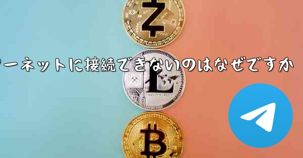 中国では紙飛行機ソフトウェアがインターネットに接続できないのはなぜですか