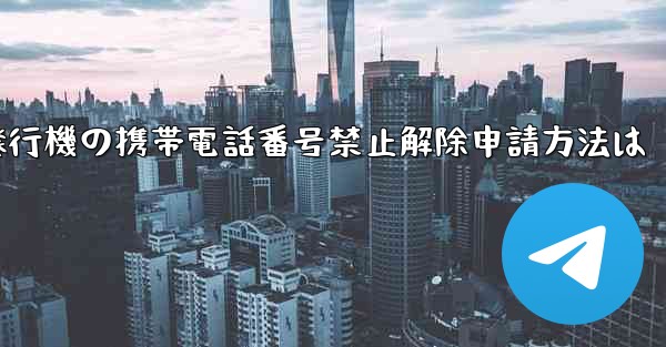 紙飛行機の携帯電話番号禁止解除申請方法は