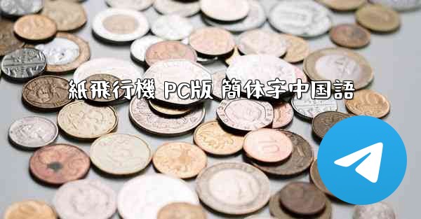 紙飛行機 PC版 簡体字中国語