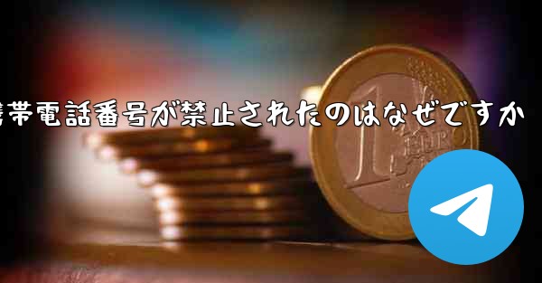 Paper Plane の携帯電話番号が禁止されたのはなぜですか