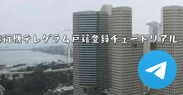 紙飛行機テレゲラム戸籍登録チュートリアル