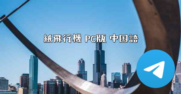 紙飛行機 PC版 中国語