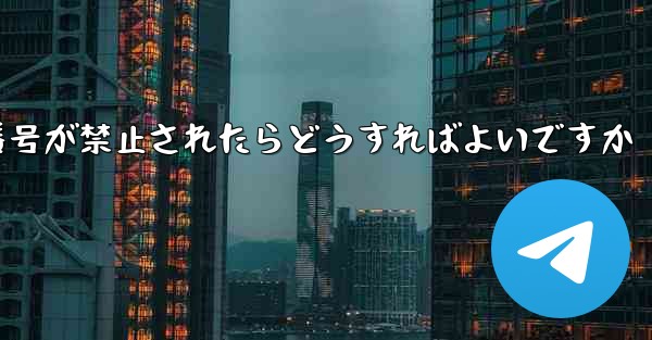 私の紙飛行機の携帯電話番号が禁止されたらどうすればよいですか